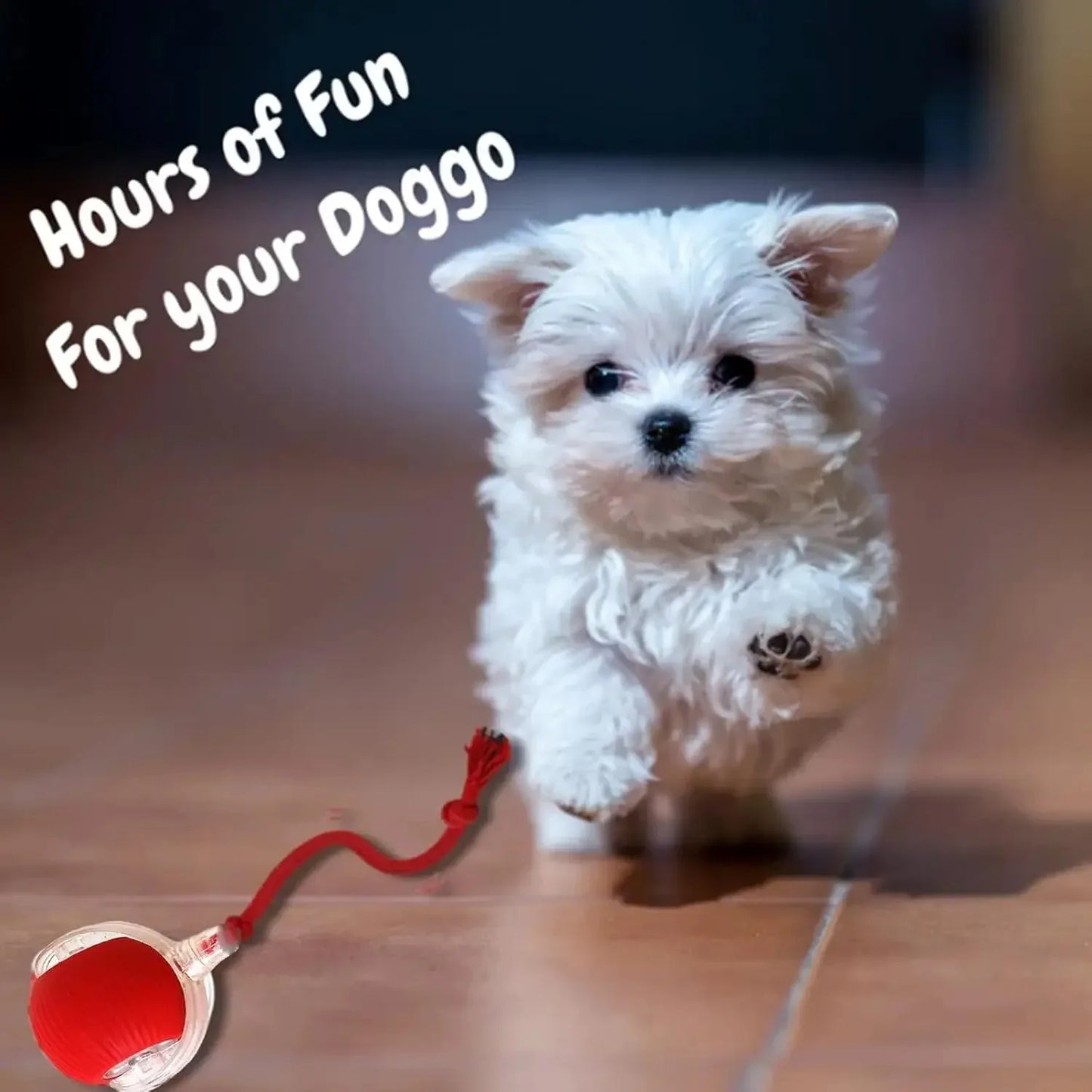 Smart Pet Ball - Automatic Rolling