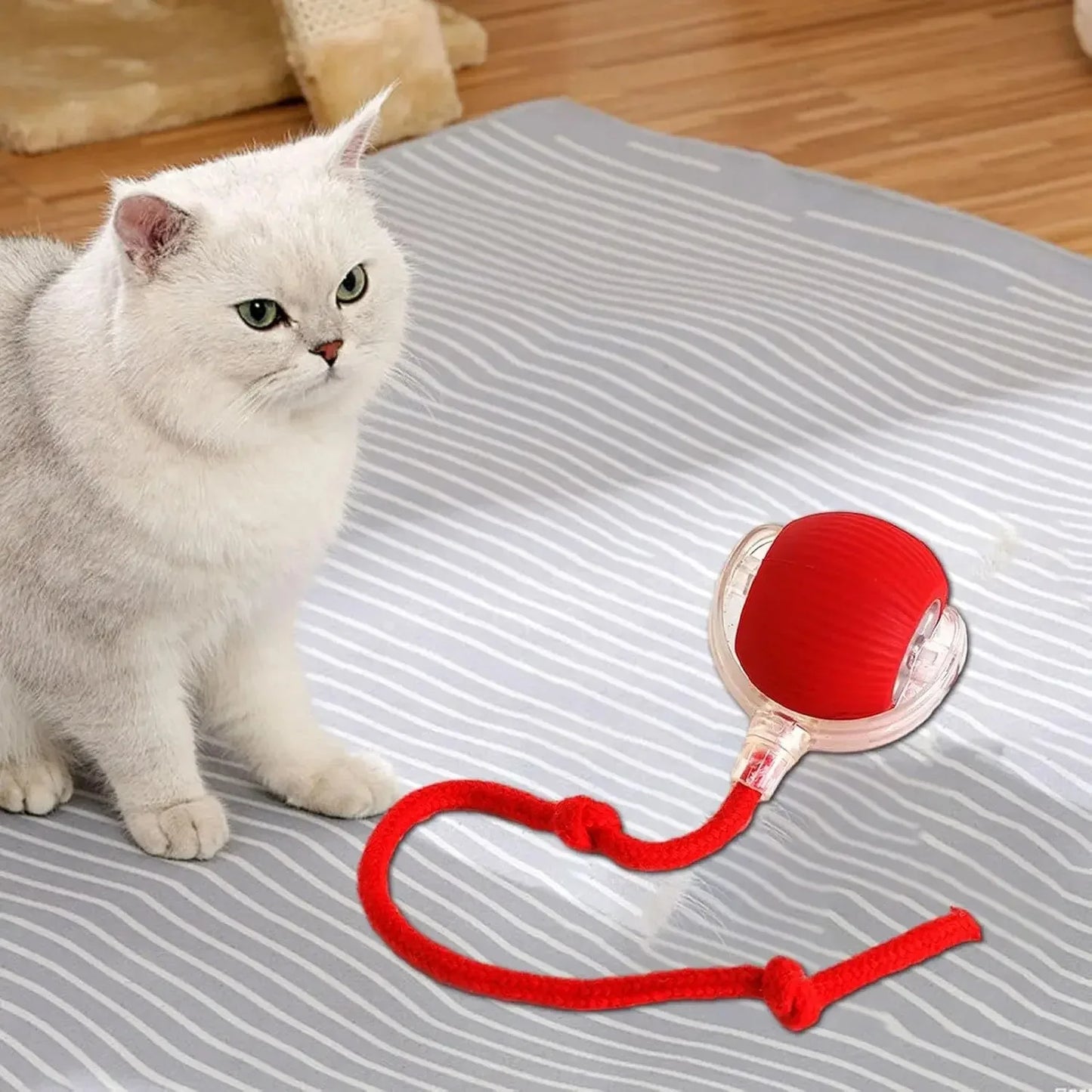 Smart Pet Ball - Automatic Rolling
