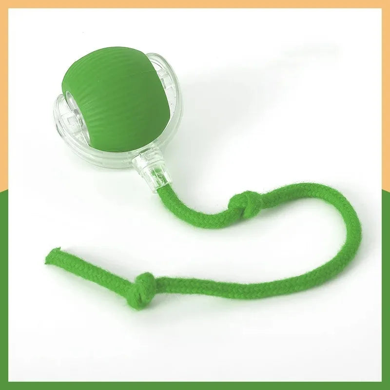 Smart Pet Ball - Automatic Rolling