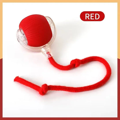 Smart Pet Ball - Automatic Rolling