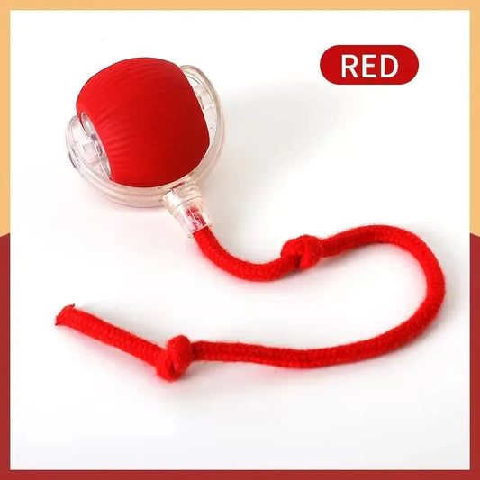 Smart Pet Ball - Automatic Rolling