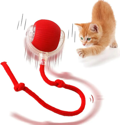 Smart Pet Ball - Automatic Rolling