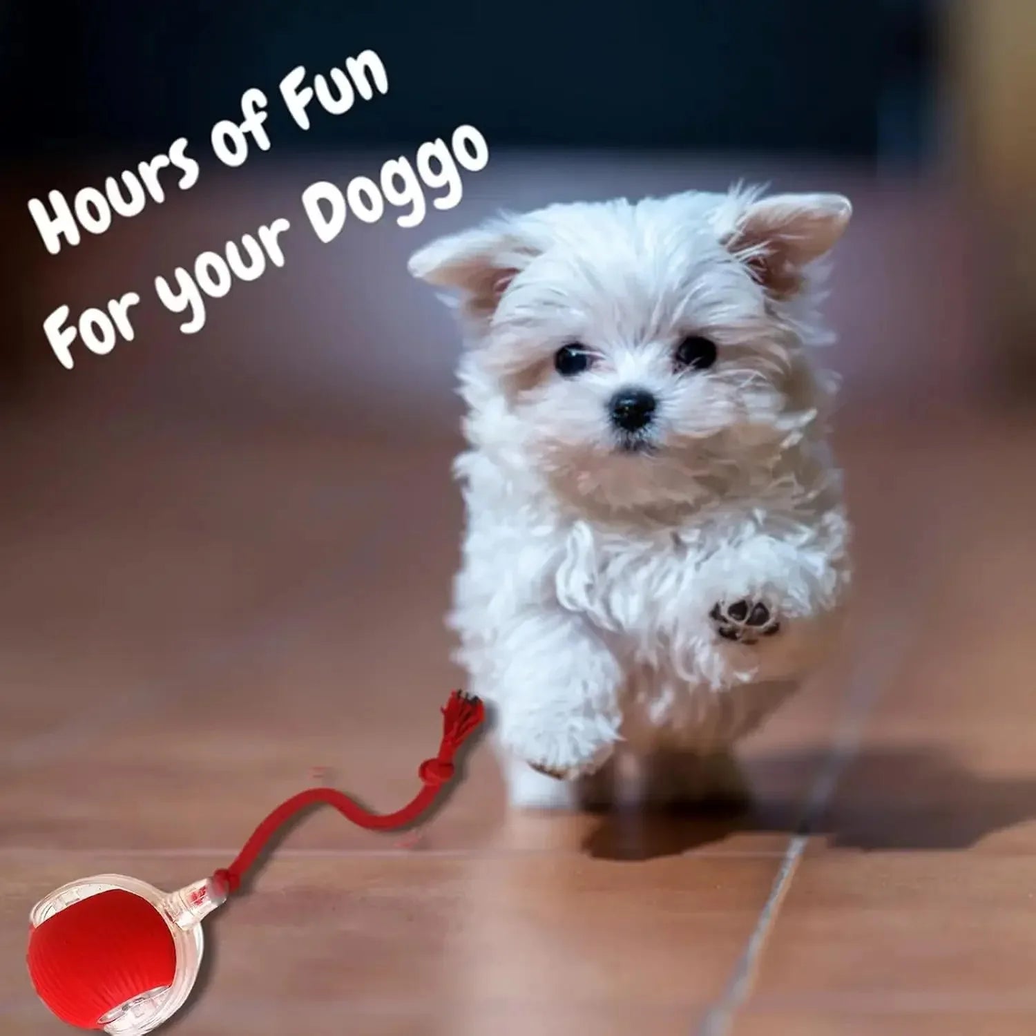 Smart Pet Ball - Automatic Rolling