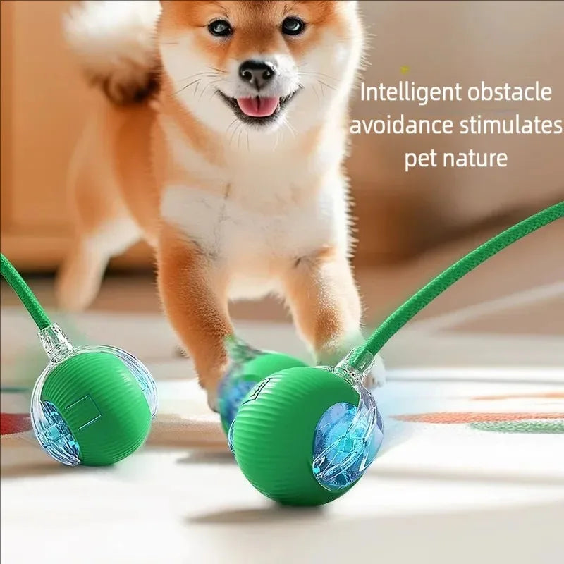 Smart Pet Ball - Automatic Rolling