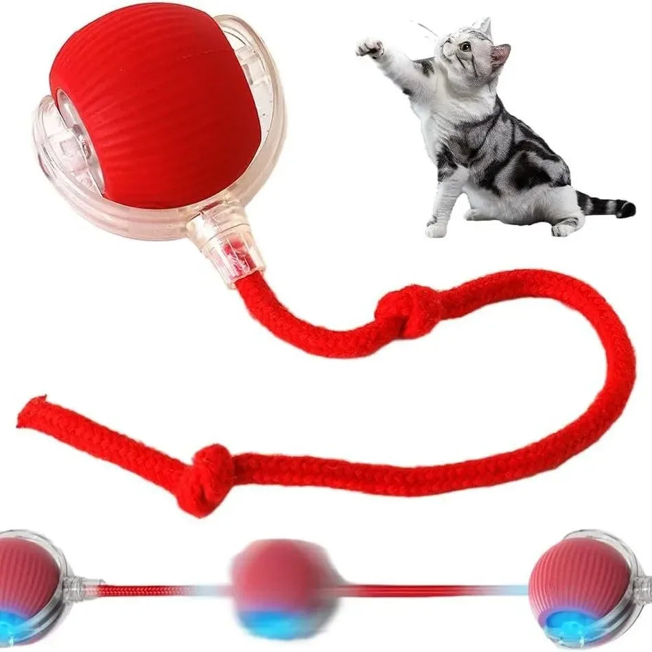 Smart Pet Ball - Automatic Rolling